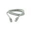 Cable de Red Patch Cord Cat 6 UTP Gris 50cm